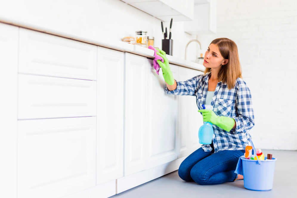 House cleaning services in st petersburg fl